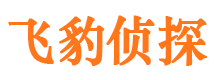 亭湖市婚姻出轨调查